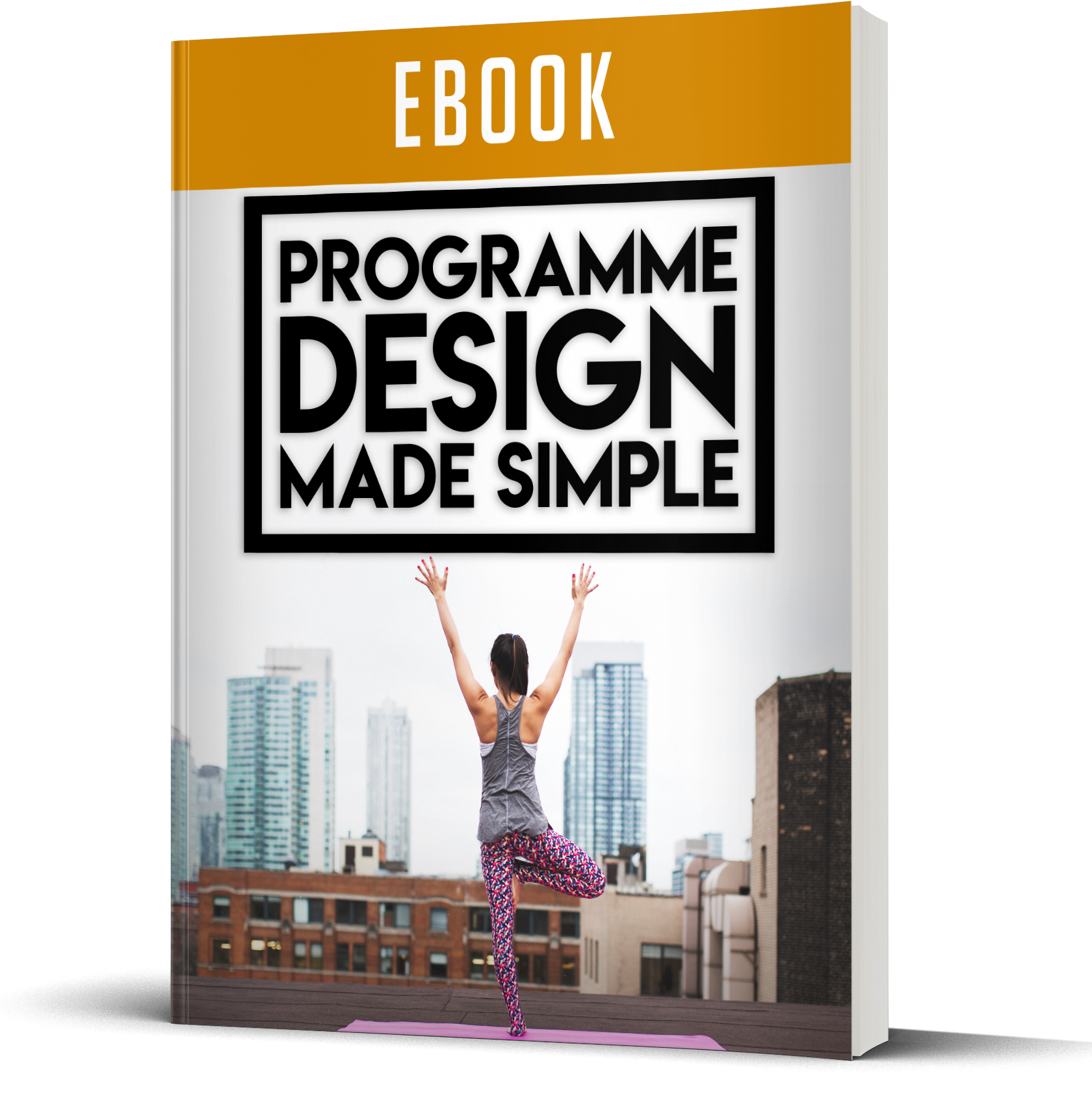 Programme Design Made Simple Premium PLR Reports